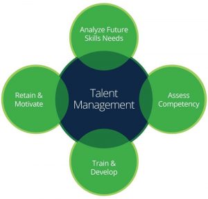 How to Manage HR-HCM Role for Talent Edge
