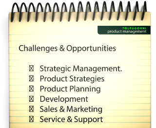 product manager, Product Management Pains