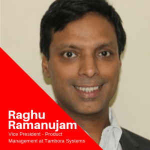 Raghu Ramanujam Product Success Management Issues David Fradin Spice Catalyst Podcast