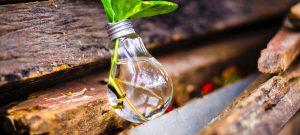 Innovation, Design and Value Proposition